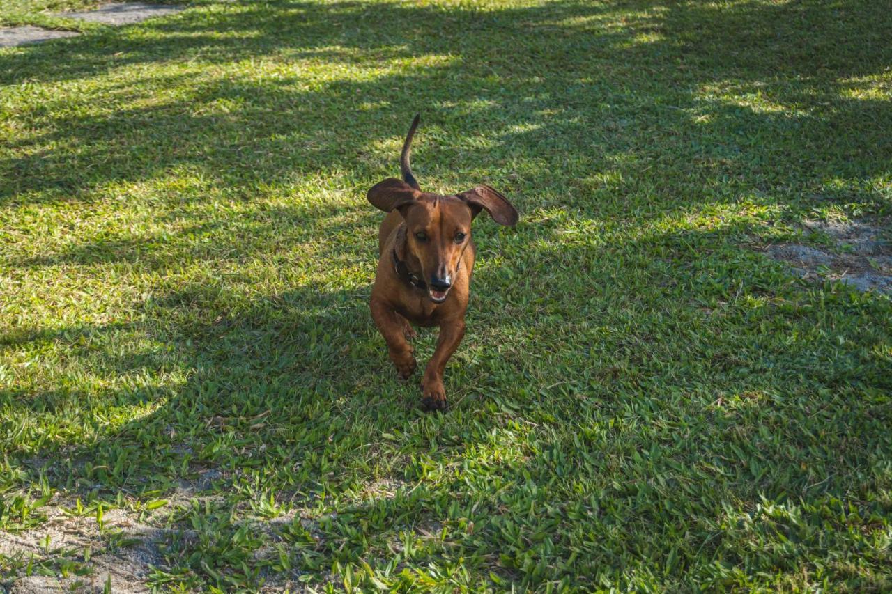 Casa vista para montanha Pet Friendly Caraguatatuba Exteriör bild
